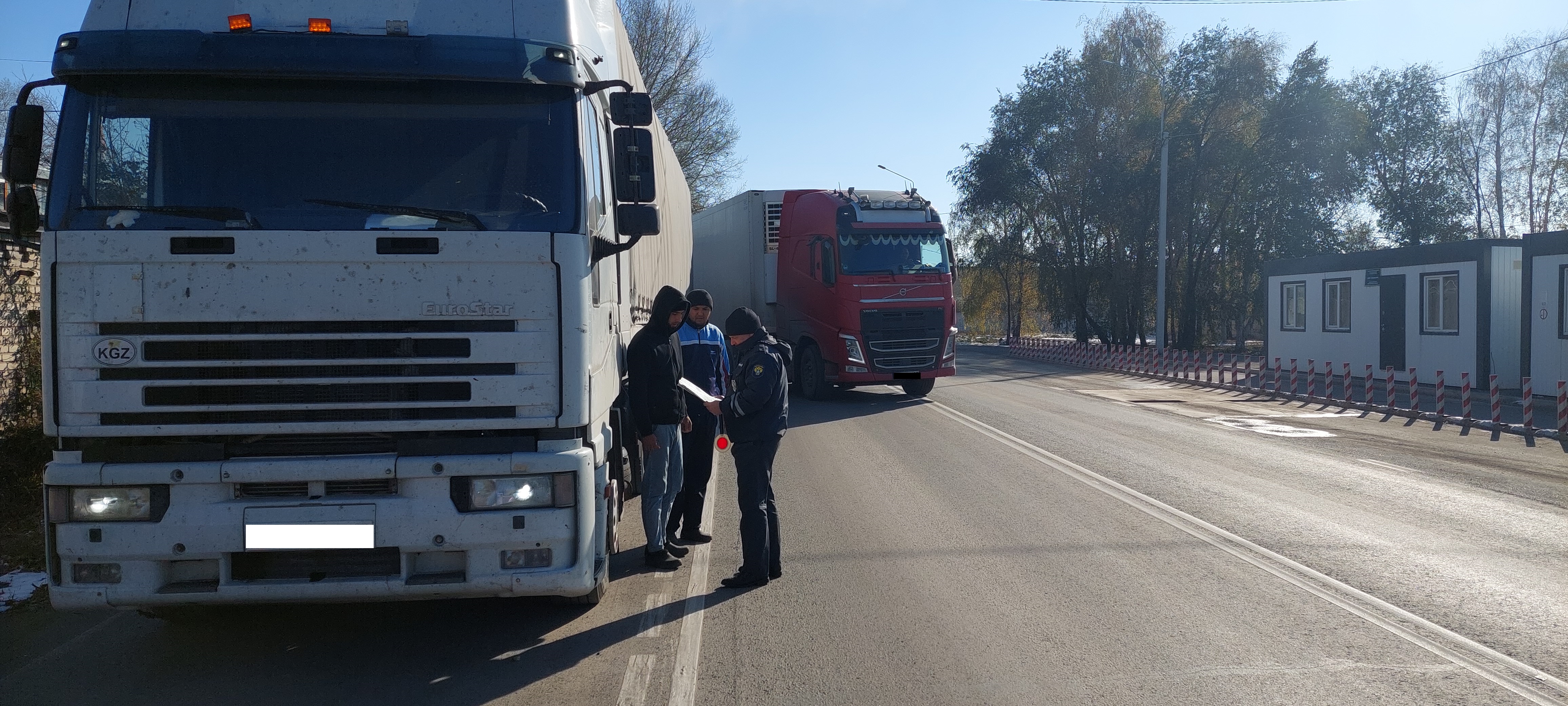 В Алтайском крае пресечен незаконный вывоз крупного рогатого скота